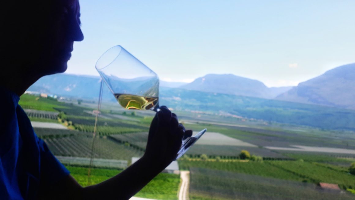 La Mia “strada del vino”      Alto Adige