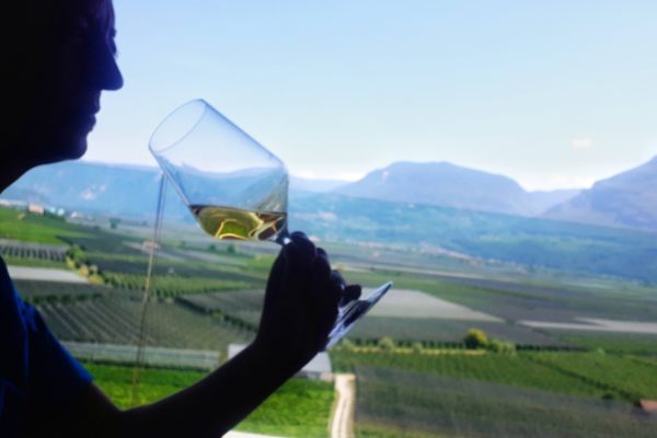La Mia “strada del vino”      Alto Adige