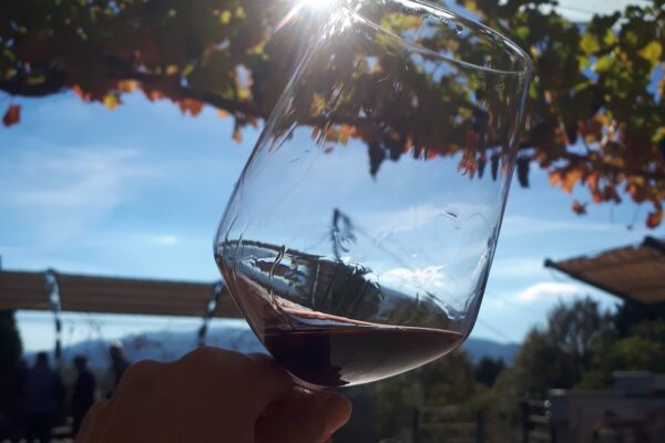Una storia che sa di Sagrantino